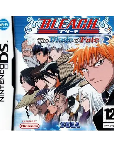 Bleach: Blade Of Fate DS Usato