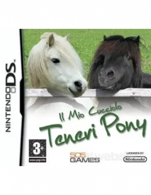 Mio Cucciolo Teneri Pony DS Usato