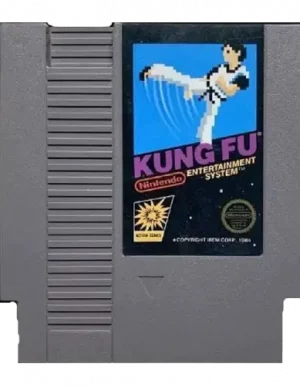 Kung Fu NES