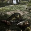 18 Gothic 1 Remake PS5
