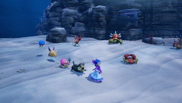Dragon Quest Monsters: Il Regno Sfiorito Nintendo Switch 2 (Game-Key Card)